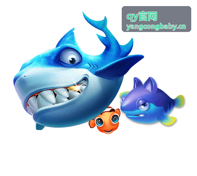 qy官网网站运营概览